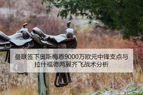 man-lian-qian-xia-ao-si-mei-en-wan-ou-yuan-zhong-feng-zhi-dian-yu-la-shen-fu-de-liang-yi-qi-fei-zhan-shu-fen-xi-2-949.jpg